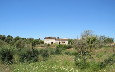 Land mit 9,5 Hektar und Baumöglichkeit – Lagoa – Algarve – 3.000.000 EUR